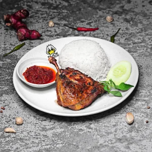 Ayam Open BO